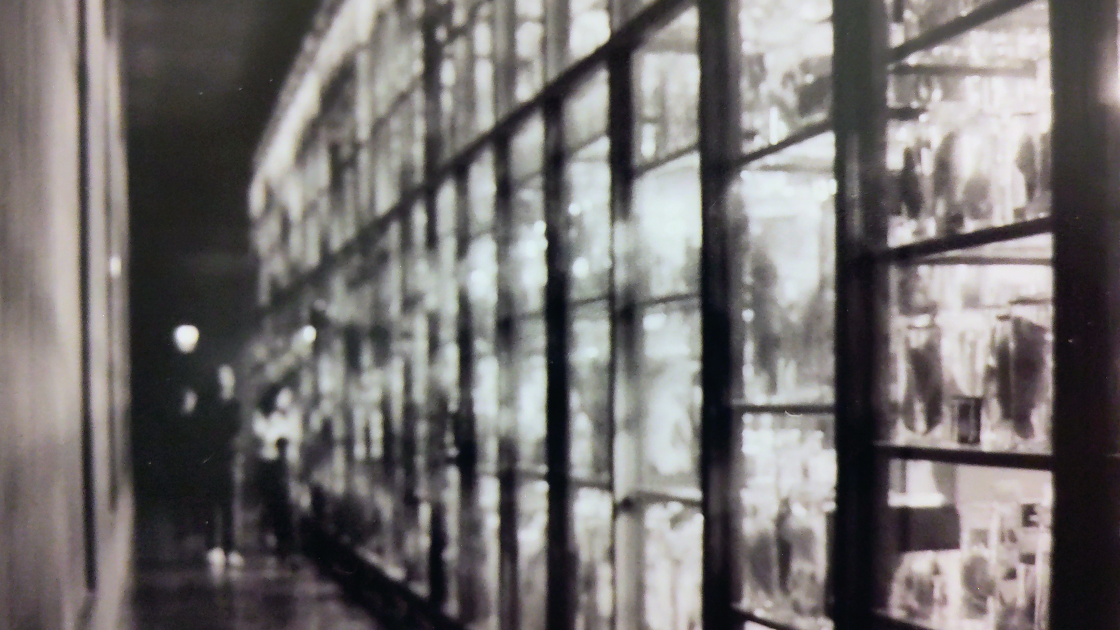 Berlin Vienna The Modern and the Makaberr photograph 13